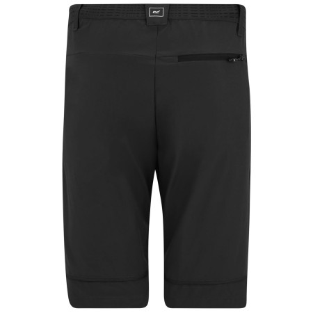 Pantaloni bărbați Regatta Mountain Z/O Trousers