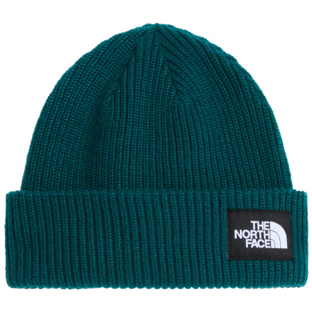 Căciulă The North Face Salty Lined Beanie