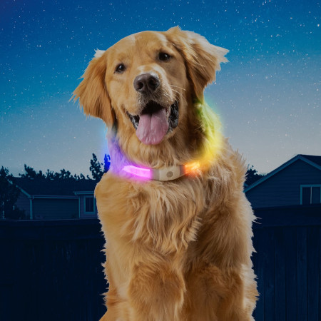 Zgardă luminoasă pentru câini Nite Ize NiteHowl Max LED