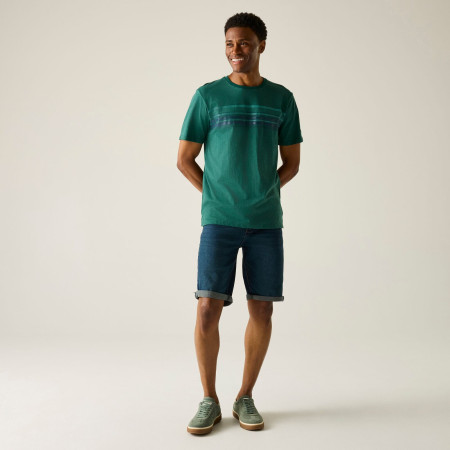 Tricou bărbați Regatta Rendro