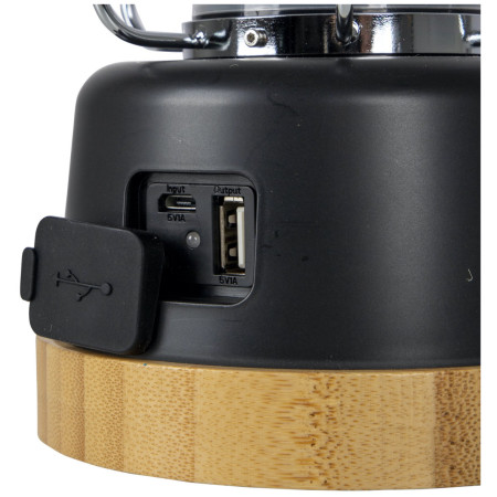 Felinar Bo-Camp Harlington