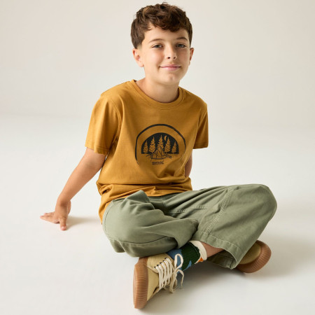 Tricou copii Regatta Bosley Wood Brown