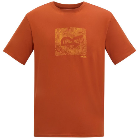 Tricou bărbați Regatta Fingal Stretch portocaliu/ Rooibos Tea