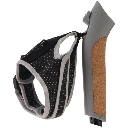 Bețe Nordic Walking Axon Vario