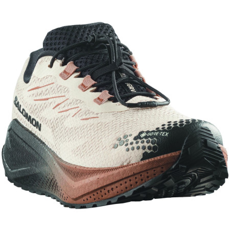 Încălțăminte bărbați Salomon Aero Blaze 4 Grvl Gtx