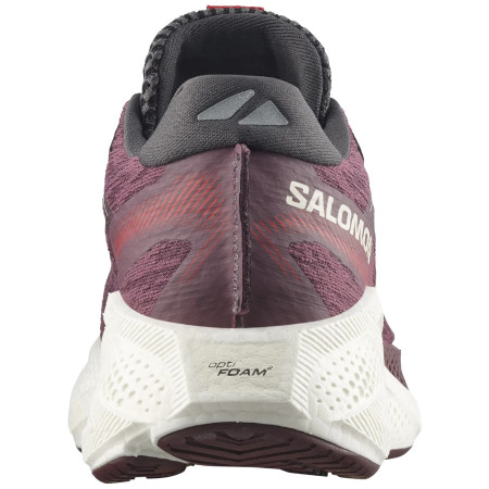 Încălțăminte de alergat pentru femei Salomon Aero Glide 4