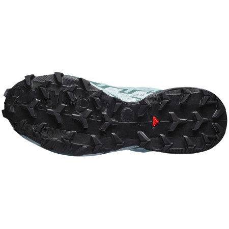Încălțăminte femei Salomon Speedcross 6 Gore-Tex
