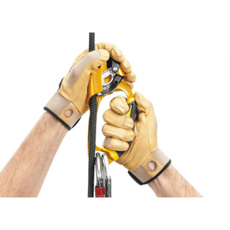 Blocator Petzl Ascension