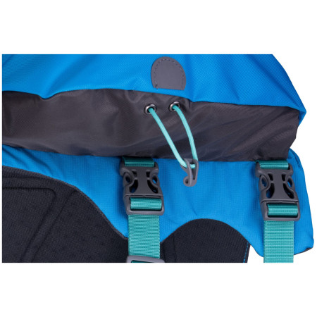 Rucsac pentru câini Ruffwear Approach™ Pack