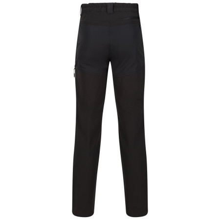 Pantaloni bărbați Regatta Questra V