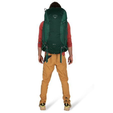 Rucsac turistic Osprey Volt 45