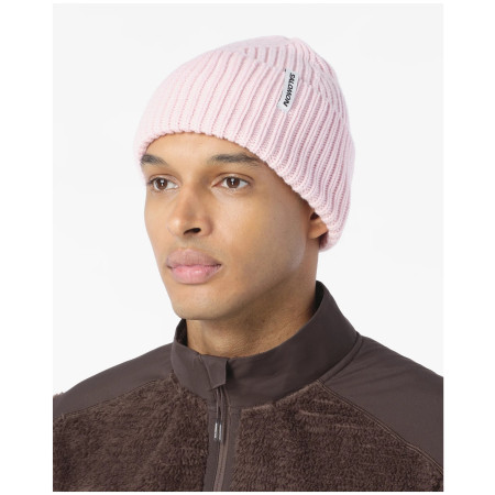Căciulă Salomon Snowbird Beanie U