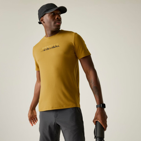 Tricou bărbați Regatta Fingal Stretch