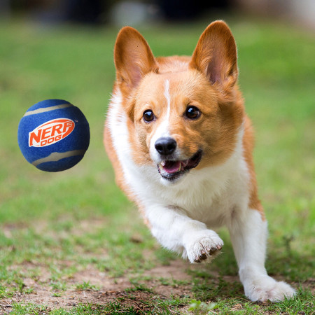 Jucărie pentru câini Nerf Dog Squeak Tennis Ball 3 pcs