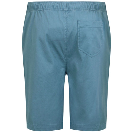 Pantaloni scurți bărbați Regatta Aldan Short
