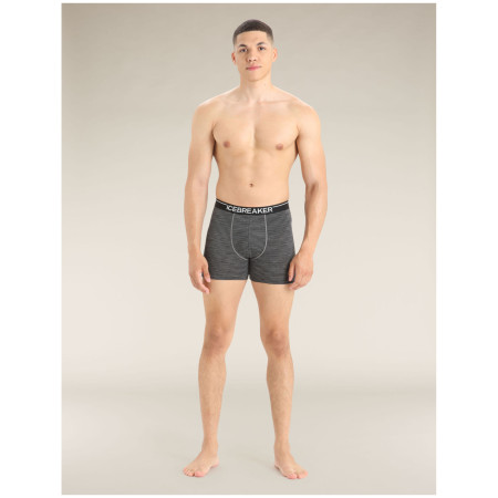 Boxeri bărbați Icebreaker Mens Anatomica Boxers