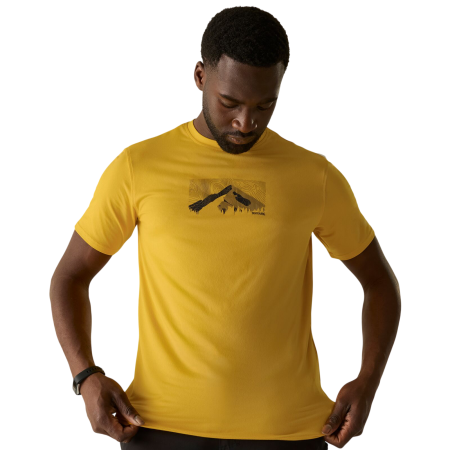 Tricou bărbați Regatta Fingal Stretch