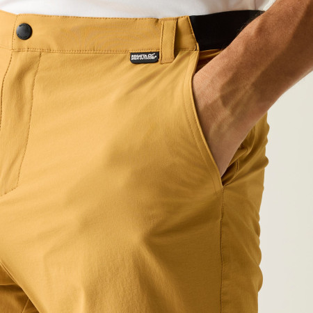 Pantaloni scurți bărbați Regatta Anti-Insect Travel Light Shorts