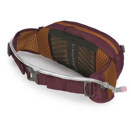 Borsetă Osprey Seral 4