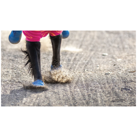Încălțăminte pentru câini Ruffwear Hi & Light™ Trail Shoes