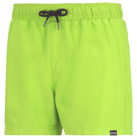 Costum de baie bărbați Regatta Mawson Swim Shorts III