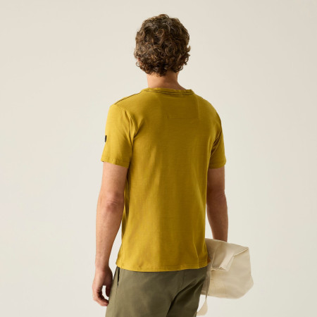 Tricou bărbați Regatta Finlo