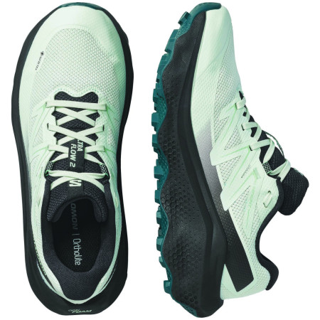 Încălțăminte de alergat pentru femei Salomon Ultra Flow 2 Gore-Tex