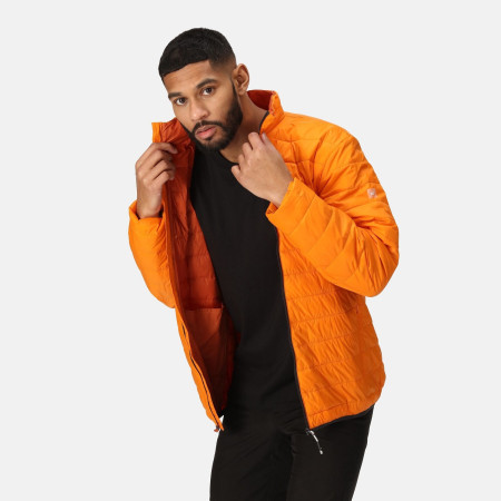 Geacă bărbați Regatta Hillpack