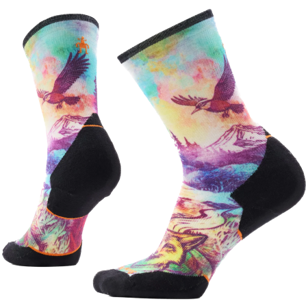 Șosete Smartwool Women's Trail Run Targeted Cushion Seren culori mix