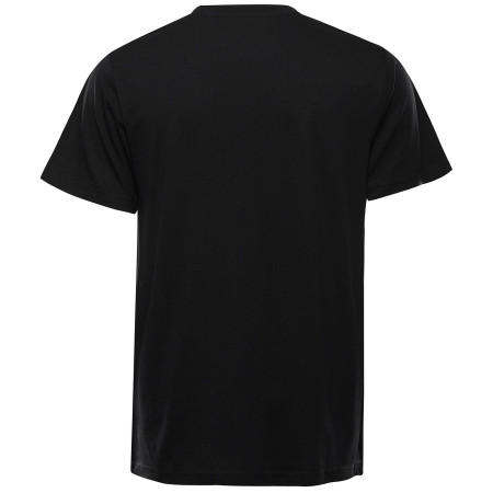 Tricou bărbați Alpine Pro Bolen 2