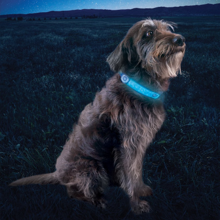 Zgardă luminoasă pentru câini Nite Ize NiteDog® Rechargeable LED Collar Cover