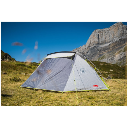 Cort Coleman Cobra 3