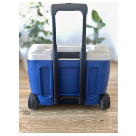 Cutie frigorifică Pinnacle Prudence 30L