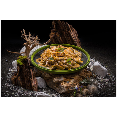 Mâncare deshitradată Adventure Menu Penne din proteină de greier cu pui în sos de cremă creolă