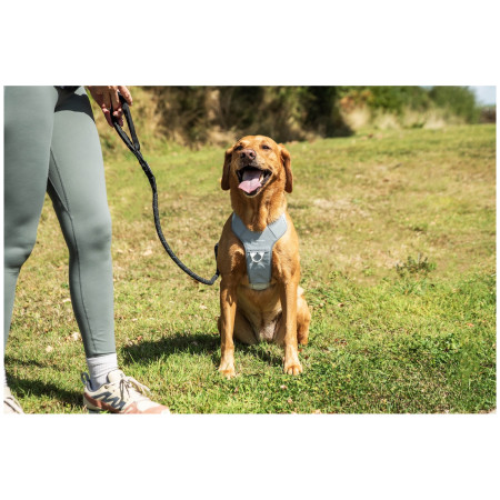 Ham pentru câini Mountain Paws Reflective Dog Harness