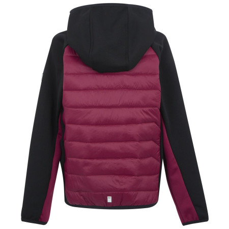 Geacă copii Regatta Kielder Hybrid IX