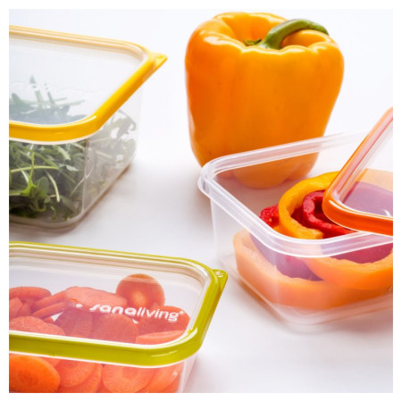 Cutie pentru gustări Omada Sanaliving Box Set 3x 19x14x9cm/1,3L