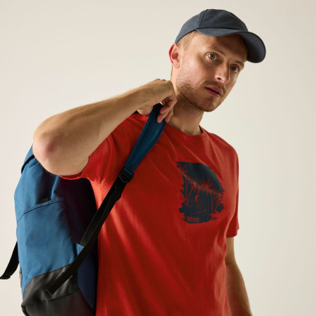 Tricou bărbați Regatta Cline IX