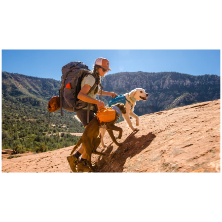 Rucsac pentru câini Ruffwear Approach™ Pack