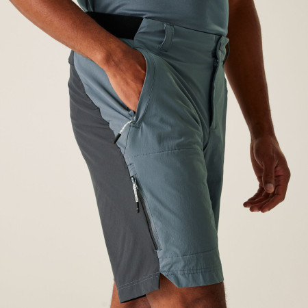 Pantaloni scurți bărbați Regatta Eldes Shorts
