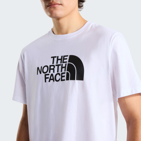 Tricou bărbați The North Face Evolution Half Dome Regular Short Slee