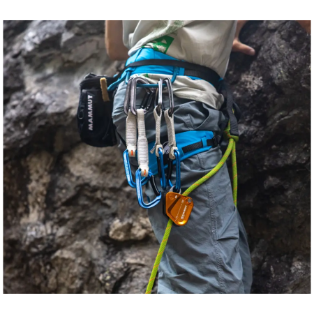 Frână Mammut Assist Belay Resistor