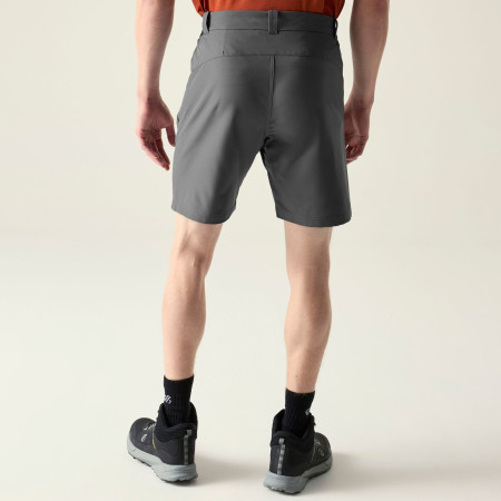 Pantaloni scurți bărbați Dare 2b Torrek II Short