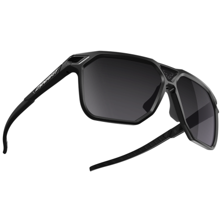 Ochelari de soare Dynafit Traverse Sunglasses