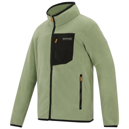 Hanorac copii Regatta Junior Frankie F/Z Light Sage