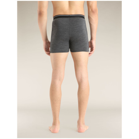 Boxeri bărbați Icebreaker Mens Anatomica Boxers