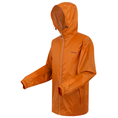 Geacă bărbați Regatta Pack It Jkt III