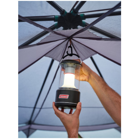 Cort Coleman Octagon 8