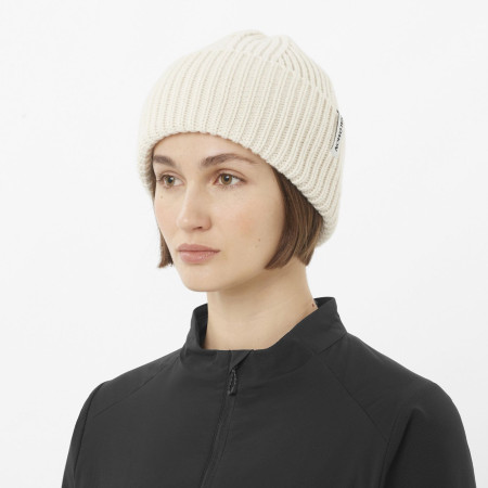 Căciulă Salomon Snowbird Beanie U