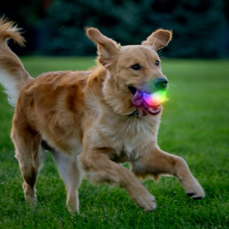 Jucărie pentru câini Nite Ize GlowStreak Wild LED Ball